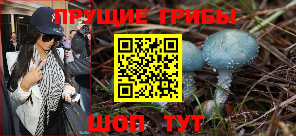 Псилоцибиновые грибы Magic Shrooms  Вход с VPN  Ачинск 